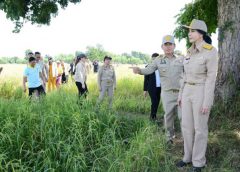 “มนัญญา” ตามติดสถานการณ์การระบาดของโรคไหม้คอรวงข้าวในพื้นที่จังหวัดสุรินทร์ เตรียมมาตรการช่วยเหลือ ด่วน