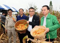 กรมส่งเสริมสหกรณ์ พร้อมขานรับนโยบายต่อยอด “ตลาด นำการผลิต”รัฐบาลทุกมิติ มุ่งเสริมเขี้ยวเล็บสหกรณ์ให้เกิดเข้มแข็งเป็นที่พึ่งเกษตรกร ลดต้นทุนเพิ่มผลผลิต -สร้างรายได้ที่ยั่งยืนให้เกษตรกรไทย