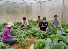 เกษตรจังหวัดน่าน ติดตามผลการใช้งานโรงเรือนเกษตรกร ภายใต้การสนับสนุนจากโครงการพืชปลอดภัย พร้อมตรวจเยี่ยมเยือนการดำเนินงานโครงการศูนย์ภูฟ้าพัฒนา อันเนื่องมาจากพระราชดำริ