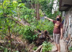 ปราจีนอ่วม พายุฝนกระหน่ำบ้านเรือนพังพินาศ