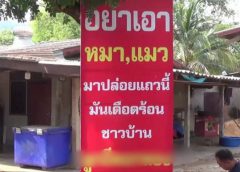 ชาวบ้านสุดทน…เขียนป้ายด่าคนปล่อย หมา – แมว 