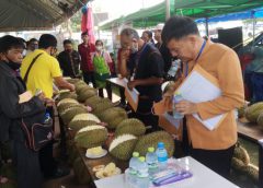 เกษตรจังหวัดศรีสะเกษ จัดประกวดพืชผลเกษตร ในงานเทศกาลทุเรียนภูเขาไฟศรีสะเกษ ปี 2563