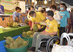 ทุเรียนภูเขาไฟศรีสะเกษ ทำเศรษฐกิจพุ่งกระฉูด ชาวสวน/โรงแรมและร้านอาหารยิ้มไม่หุบ