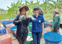 ประมงจังหวัดปราจีนบุรี เยี่ยมชมการจัดการการผลิตสัตว์น้ำแปลงใหญ่ปลานิลปนกุ้งขาว