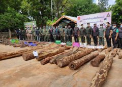 ผบ.กองกำลังสุรศักดิ์มนตรี แถลงข่าวตรวจยึดไม้พะยูง มูลค่ากว่า 1,590,000 บาท