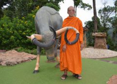 แม่อุ้มลูกชมพญากูปรีหนึ่งเดียวในแผ่นดินถิ่นพญากูปรีอีสานใต้  ขณะที่หลวงพ่อพุฒศิษย์เอกหลวงปู่สรวงวัดไพรพัฒนาให้พรคุณแม่ทั่วไทยขอให้มีสุขภาพสมบูรณ์แข็งแรงเพื่อจะได้อบรมลูกเป็นพลเมืองดีของชาติ