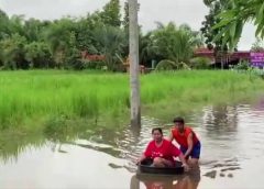 พายุโนอึลยังแผลงฤทธิ์ต่อเนื่อง  ยังส่งผลกระทบต่อจังหวัดชัยภูมิ อย่างต่อเนื่อง และขยายพื้นที่ออกไปอีกหลายอำเภอ ล่าสุดกระทบที่อำเภอหนองบัวระเหวแล้ว