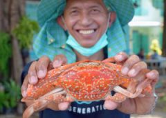 สมาคมประมงพื้นบ้านบ้านทุ่งน้อย ตำบลเขาแดง อำเภอกุยบุรี จังหวัดประจวบคีรีขันธ์ นำปูม้าจำนวน 100 กก. จากโครงการธนาคารปูม้าของสมาคมประมงพื้นบ้านบ้านทุ่งน้อย มาส่งผู้บริโภคที่มีการสั่งซื้อด้วยระบบ fisheries shop (ตลาดขายสัตว์น้ำออนไลน์ของกรมประมง) ณ บริเวณลานโพธิ์ กรมประมง เมื่อวันที่ 2 ตุลาคม 2563 ที่ผ่านมา