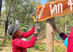 ตำรวจจิตอาสา สภ.โนนศิลา จัดโครงการเศรษฐกิจพอเพียงให้กำลังพลสู้ โควิด 19