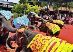 เทศกาลสงกรานต์สวนนงนุช น้องช้าง 3 คู่รดน้ำดำหัวแม่ช้าง