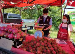 ผู้ว่าฯศรีสะเกษ สั่ง “สารวัตรทุเรียน” ตรวจเข้มตาชั่ง-แอบอ้างชื่อทุเรียนภูเขาไฟ ลั่น! จับ-ปรับจริง เพื่อสร้างความเชื่อมั่นในคุณภาพ