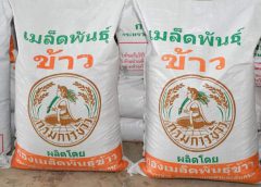 กรมการข้าว ยกเครื่องจัดซื้อและติดตั้งเครื่องปรับปรุงเมล็ดพันธุ์ เสริมขุมกำลัง การผลิตให้ได้ 120,000 ตัน/ปี