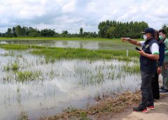 เกษตรฯ ปรับเกณฑ์ช่วยผู้ประสบภัยพิบัติด้านการเกษตรใหม่ เยียวยาเพิ่มขึ้น