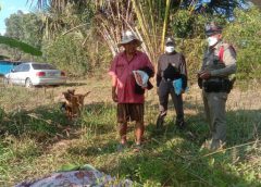 สุดสลด สาวใหญ่จมน้ำดับ เจ้าตูบนั่งเฝ้าริมสระไม่ไปไหน สามีใจสลายกอดหมาร่ำไห้