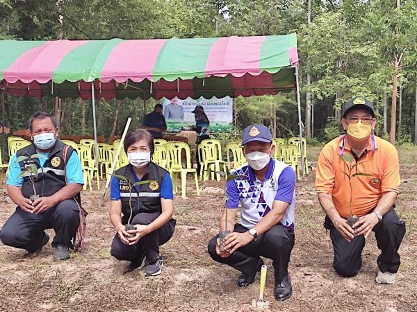 พ่อเมืองพิชัยเป็นประธานในพิธีเปิดโครงการปลูกป่า สร้างฝายชะลอน้ำ