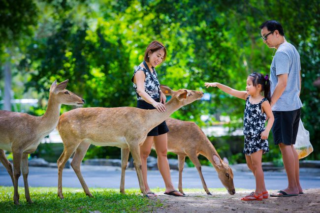 องค์การสวนสัตว์ฯ ชวนลูกจูงแม่เที่ยวชมสวนสัตว์ ฉลองวันแม่ 12 สิงหา เปิดให้เด็กเข้าชมฟรี !!