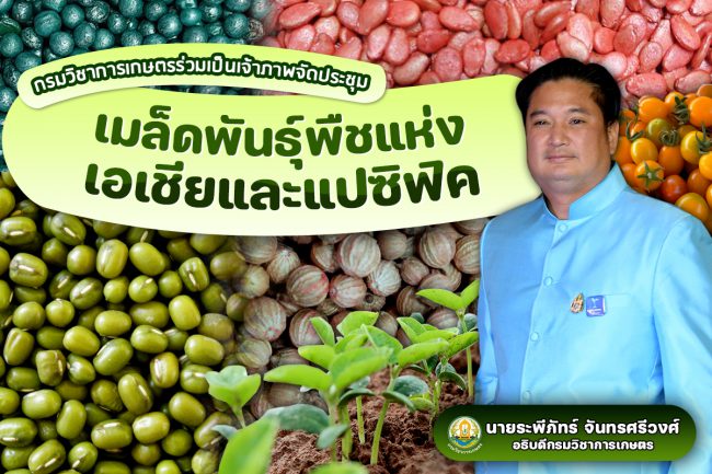 ประชุมเมล็ดพันธุ์พืชแห่งเอเชียและแปซิฟิค ครั้งที่ 27 ไทยพร้อมสร้างความเชื่อมั่นเป็นศูนย์กลางการค้าเมล็ดพันธุ์ระดับโลก