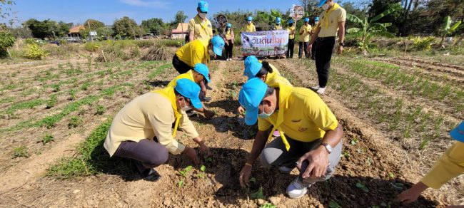 นายอำเภอโพธิ์ศรีสุวรรณจัดกิจกรรมบำรุงรักษาดิน“วันดินโลก”(World Soil Day) ปี 2566 เทิดพระเกียรติ ร.9