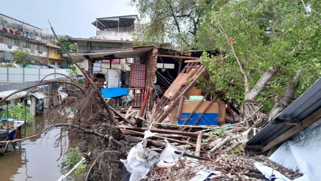 ฝนตกหนัก ต้นไทรอายุมากกว่า 60 ปี ล้มทับบ้านเสียหายทั้งหลัง ย่านพุทธบูชา