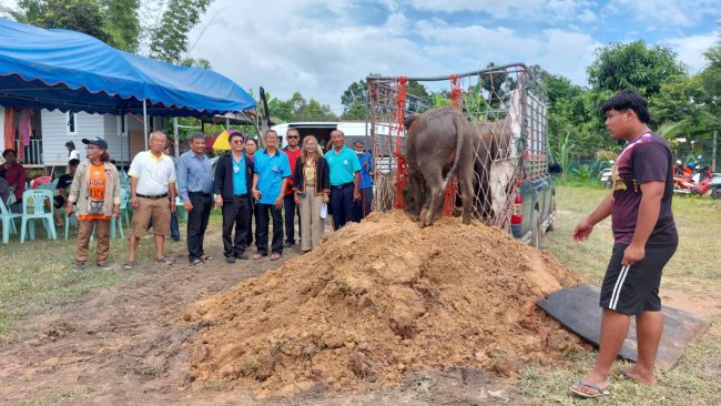 มูลนิธิไถ่ชีวิตโค-กระบือเพื่อการกุศล หลวงพ่อเลี่ยม กิตติเมธี มอบโค-กระบือให้แก่เกษตรกรจังหวัดศรีสะเกษ